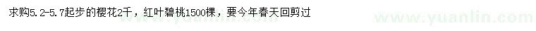 求購5.2-5.7米以上櫻花、紅葉碧桃