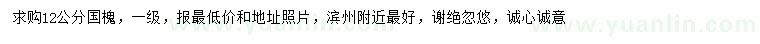 求購12公分國槐