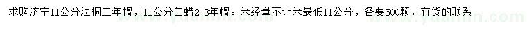 求購11公分法桐、白蠟