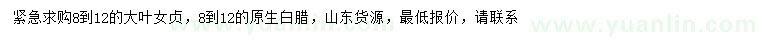 求購8-12公分大葉女貞、白臘