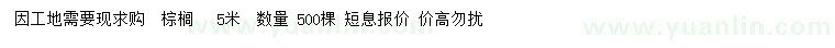 求購5米棕櫚