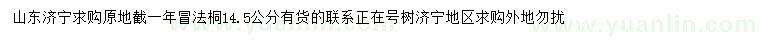 求購(gòu)14.5公分法桐