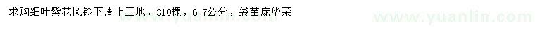 求購6-7公分細葉紫花風鈴