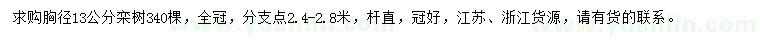 求購胸徑13公分欒樹