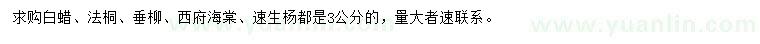 求購白蠟、法桐、垂柳等