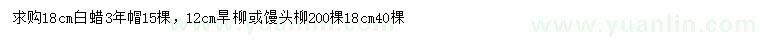 求購白蠟、旱柳、饅頭柳