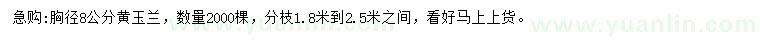 求購胸徑8公分黃玉蘭