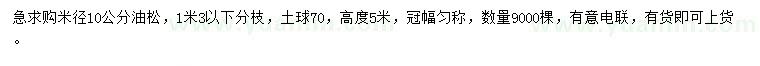 求購米徑10公分油松