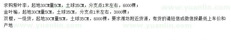 求購紫葉李、金葉榆、雙櫻