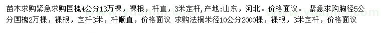 求購胸徑4、5公分國槐、米徑10公分法桐