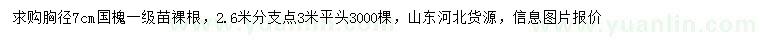 求購胸徑7公分國槐