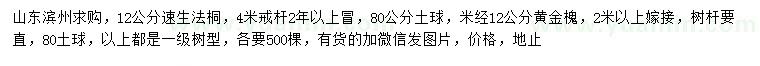 求購米徑12公分速生法桐、黃金槐