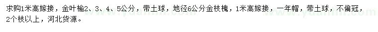 求購(gòu)2、3、4、5公分金葉榆、地徑6公分金枝槐
