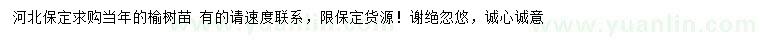 求購榆樹苗