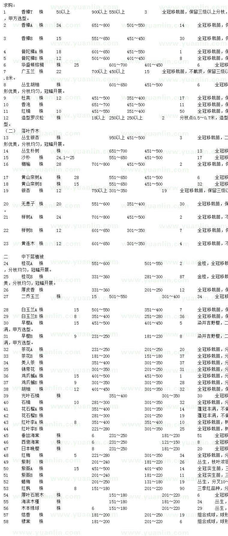 求購香樟、普陀樟、華盛頓棕櫚等