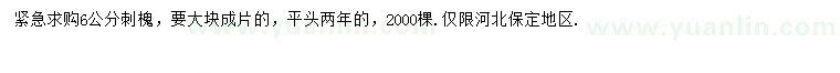 求購6公分刺槐