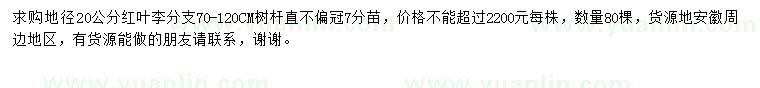 求購地徑20公分紅葉李