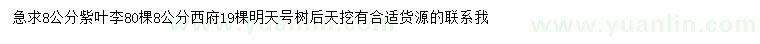 求購8公分紫葉李