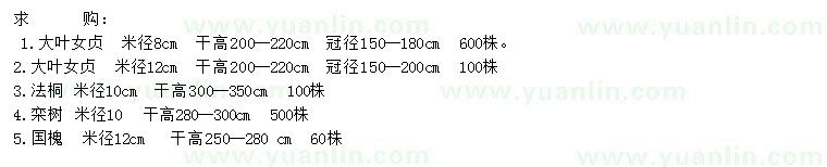 求購大葉女貞、法桐、欒樹等