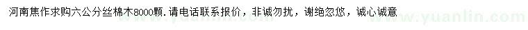 求購6公分絲棉木
