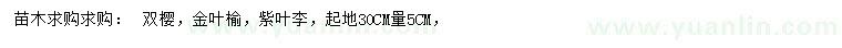求購雙櫻、金葉榆、紫葉李