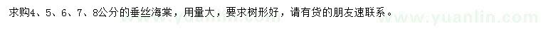 求購4、5、6、7、8公分垂絲海棠