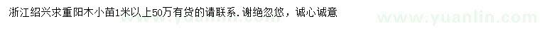 求購1米以上重陽木小苗