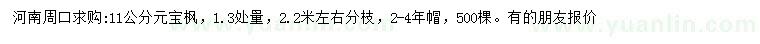 求購1.3處量11公分元寶楓