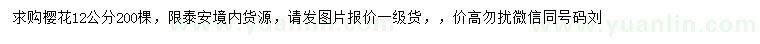 求購12公分櫻花