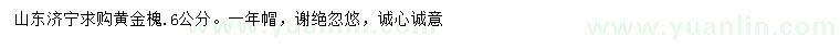 求購(gòu)6公分黃金槐