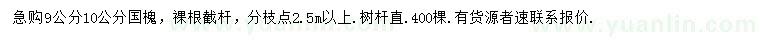 求購9、10公分國槐