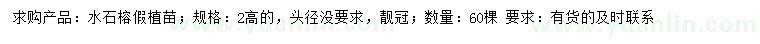 求購(gòu)水石榕假植苗