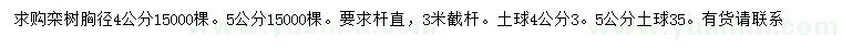 求購胸徑4、5公分欒樹