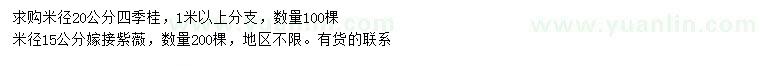 求購米徑20公分四季桂、米徑15公分嫁接紫薇