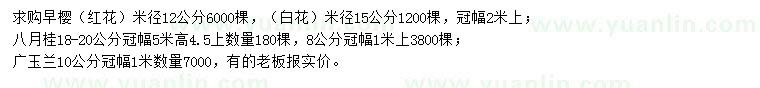 求購早櫻、八月桂、廣玉蘭