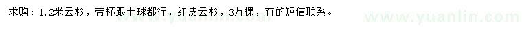 求購(gòu)1.2米云杉