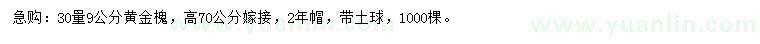 求購30量9公分黃金槐