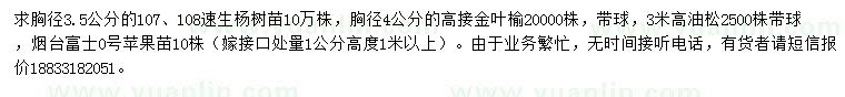 求購107、108速生楊、金葉榆、油松等