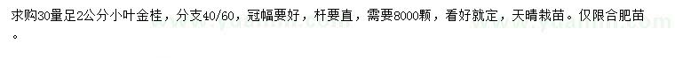 求購30量足2公分小葉金桂