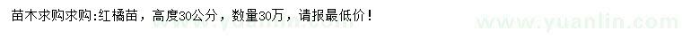 求購高30公分紅橘苗