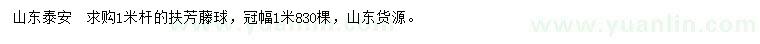 求購(gòu)1米扶芳藤球