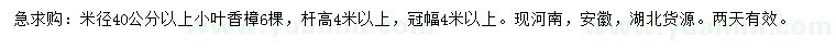 求購米徑40公分香樟
