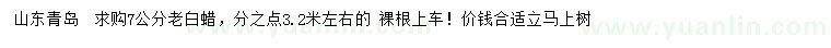 求購7公分老白蠟