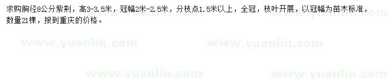 求購胸徑8公分紫荊