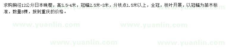 求購胸徑12公分日本晚櫻
