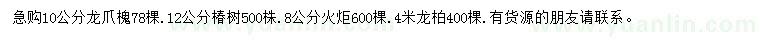 求購龍爪槐、椿樹、火炬等