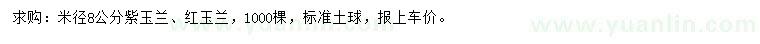 求購米徑8公分紫玉蘭、紅玉蘭
