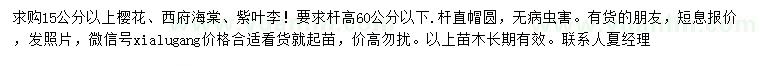 求購櫻花、西府海棠、紫葉李
