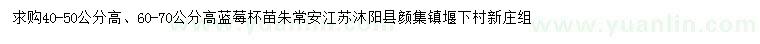 求購高40-50公分藍莓杯苗