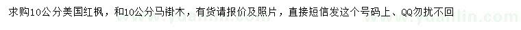求購10公分美國紅楓、馬褂木